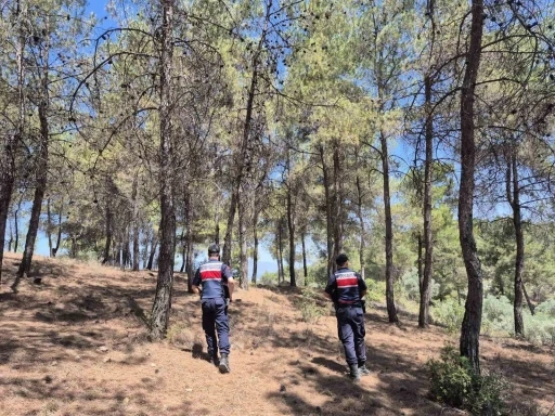 Jandarmanın ‘orman’ nöbeti aralıksız devam ediyor
