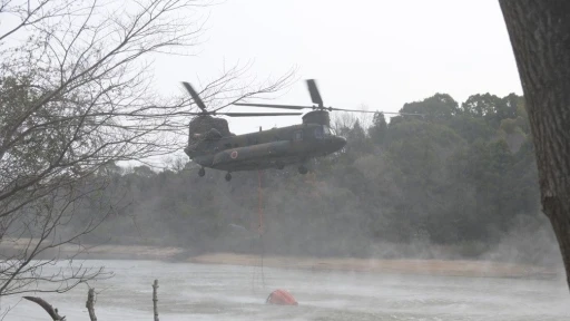 Japonya’da 4 gündür süren orman yangınları 1 eyalete daha sıçradı
