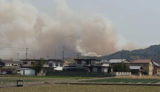 Japonya’daki orman yangınları devam ediyor: 514 hektar alan yandı, 16 bin ev elektriksiz kaldı
