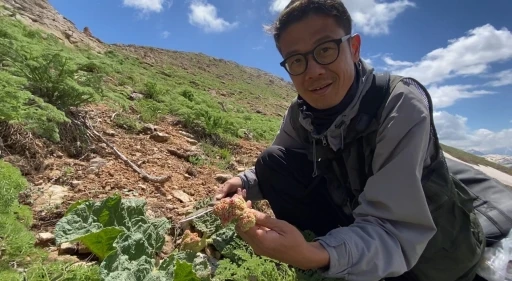 Japonya&rsquo;dan Y&uuml;ksekova&rsquo;ya uzanan doğa yolculuğu
