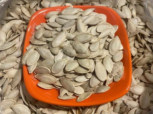Kabak çekirdeğine &quot;Salmonella&quot;, zencefile &quot;Bacillus cereus&quot; nasıl bulaşıyor
