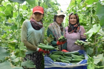 Kadın çiftçi kızıyla birlikte her sabah girdiği 3 dekarlık serada gece gündüz çalışıyor
