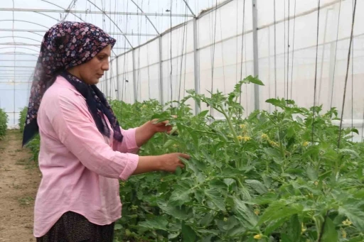 Kadınlar devlet desteğiyle &uuml;retti, k&ouml;y turizm ve tarımda il&ccedil;ede &ouml;nc&uuml; oldu
