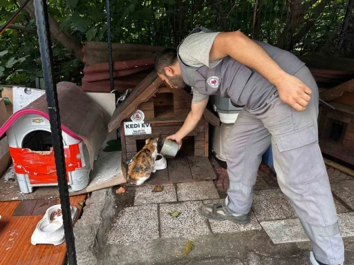 Kağıthane’de bir yılda 10 bin 882 can dost rehabilite edildi
