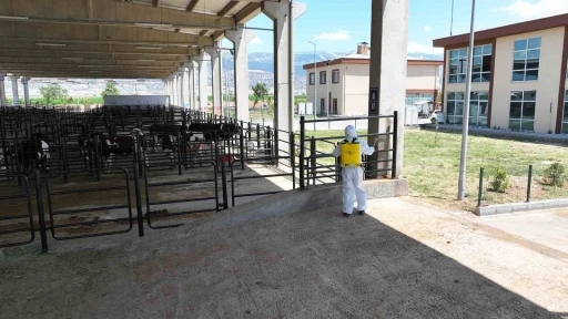 Kahramanmaraş Hayvan Borsası hazır
