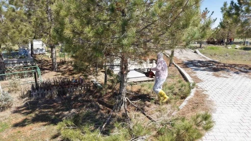 Kahramanmaraş&rsquo;ta mezarlıklarda yenileme başladı
