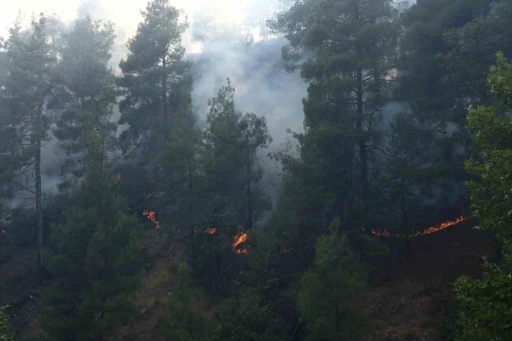 Kahramanmaraş’ta orman yangını
