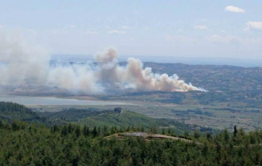 Kahramanmaraş’ta orman yangını
