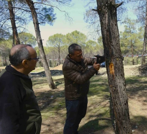 Kahramanmaraş&rsquo;ta orman zararlılarına karşı m&uuml;cadele sahada incelendi
