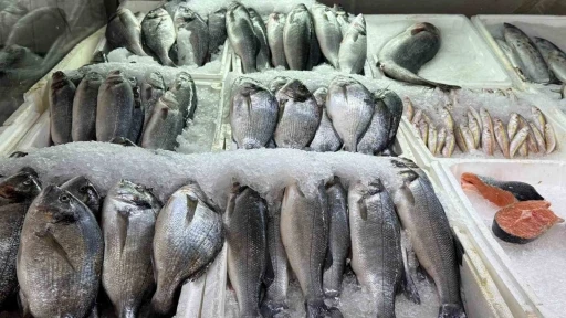 Kahramanmaraş&rsquo;ta su &uuml;r&uuml;nleri av yasağı başladı

