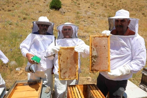 Kahramanmaraş’taki Engizek Yaylası’nda bal mesaisi
