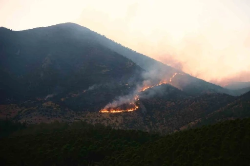 Kahramanmaraş’taki orman yangını: 26 saattir müdahale ediliyor
