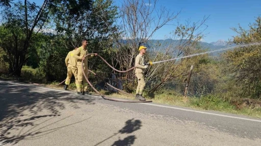 Kahramanmaraş’taki orman yangını söndürüldü
