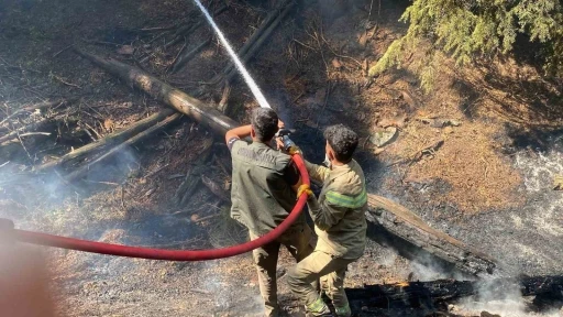 Kahramanmaraş’taki orman yangınına müdahale sürüyor

