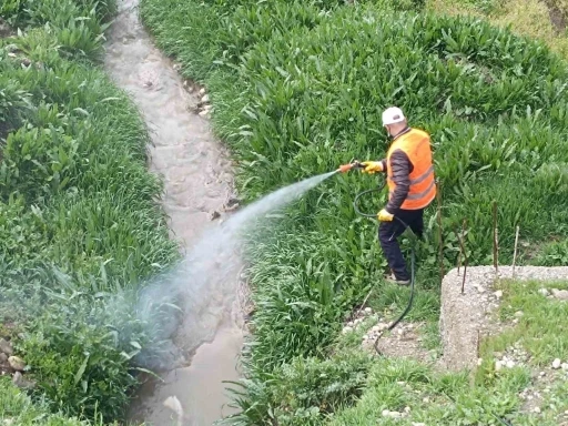 Kahta Belediyesi&rsquo;nden haşerelere karşı yoğun m&uuml;cadele
