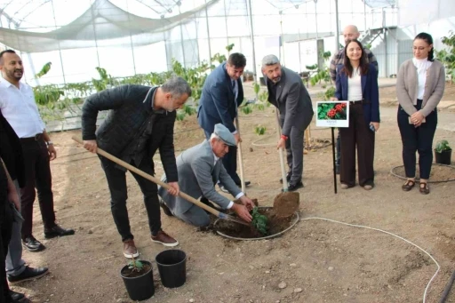 Kahve sadece adıyla değil üretimiyle de Türk olacak
