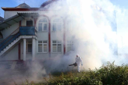 Kahverengi kokarca kışlak m&uuml;cadelesi s&uuml;r&uuml;yor
