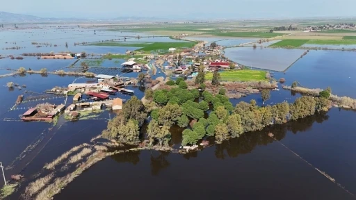 Kalcık Mahallesi, Venedik&rsquo;e d&ouml;nd&uuml;
