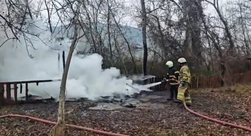 Kamelya yangında k&uuml;le d&ouml;nd&uuml;
