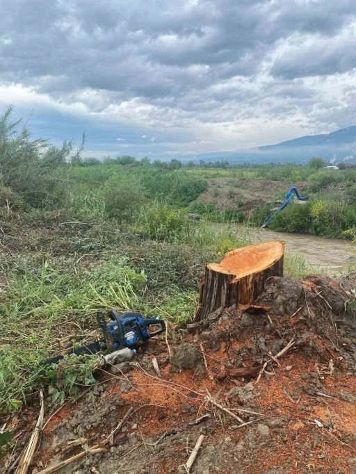 Kamuya ait alanda ağaç kesen şüpheliler yakalandı
