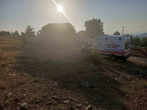 Kamyondan kayan tomrukların altında kalan 1 kişi hayatını kaybetti
