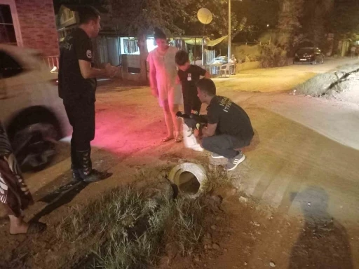 Kanalizasyon borusuna sıkışan yavru köpeği itfaiye kurtardı
