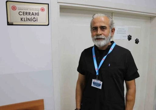 Kangal, &ccedil;oban gelene kadar kırsalda doğan kuzuya kendi yavrusu gibi sahip &ccedil;ıktı
