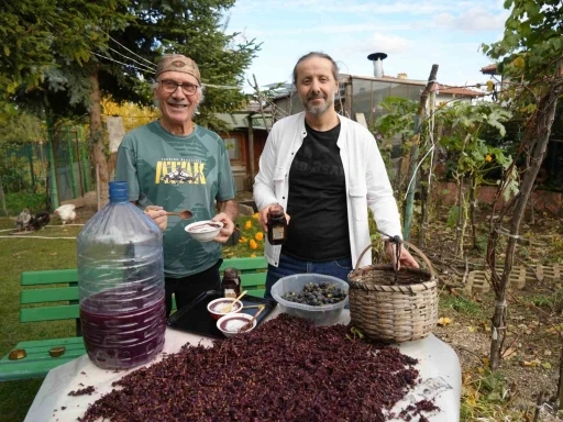 Kanser h&uuml;crelerinin oluşumunu &ouml;nleyen kokulu &uuml;z&uuml;m&uuml;n &uuml;retimi arttırılacak
