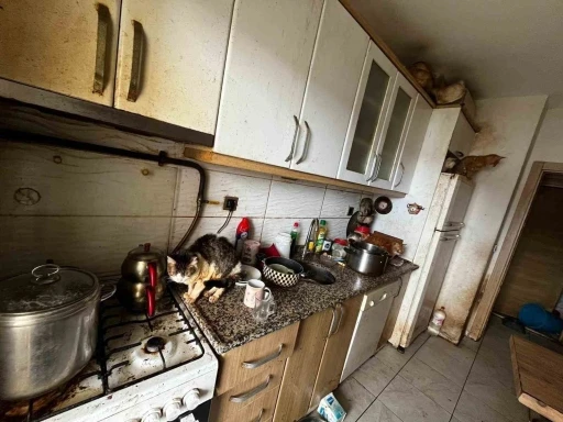 Kapı a&ccedil;ılınca karşılaşılan manzara şoke etti
