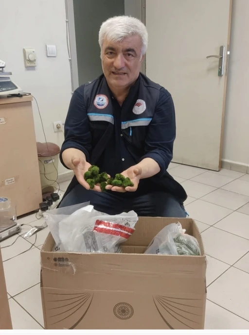 Kapıkule&rsquo;de yolcu otob&uuml;s&uuml;nde 2 bin adet canlı yeşil alg ele ge&ccedil;irildi
