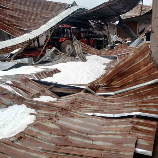 Kar birikintisi mandıra &ccedil;atısını &ccedil;&ouml;kertti: 4 ton buğday zarar g&ouml;rd&uuml;
