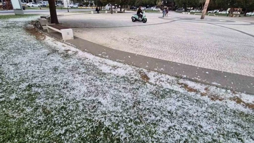 Kar değil polen
