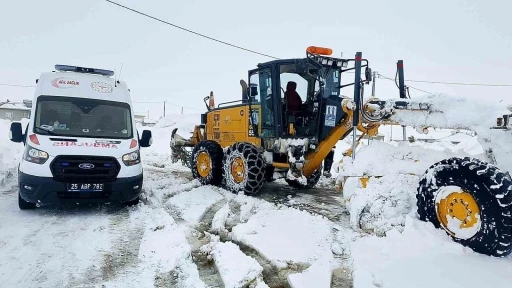 Kar doğuyu esir aldı

