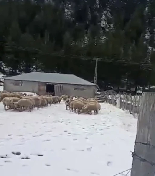 Kar kalınlığı 1 metreye ulaştı, mahsur kalan vatandaş kurtarıldı
