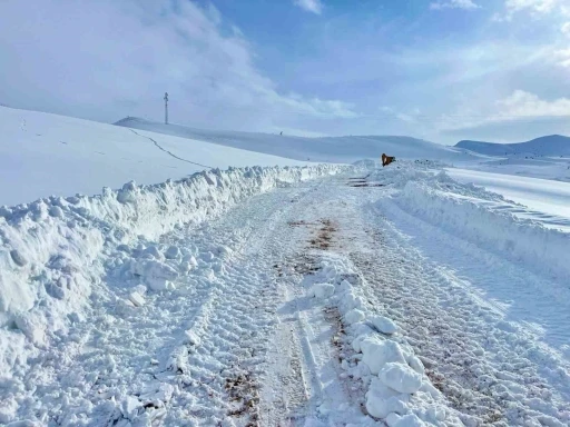 Kar kalınlığının yer yer 2 metreyi bulduğu b&ouml;lgede yol a&ccedil;ma &ccedil;alışması
