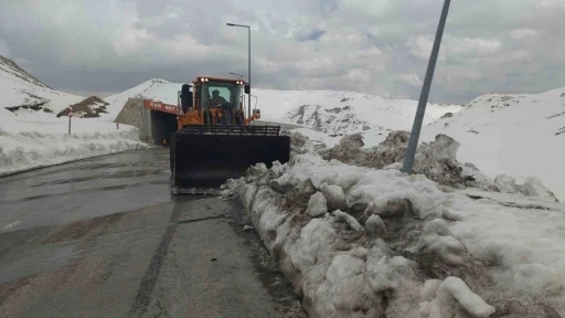 Kar kaplanları Nisan ayında da görevinin başında
