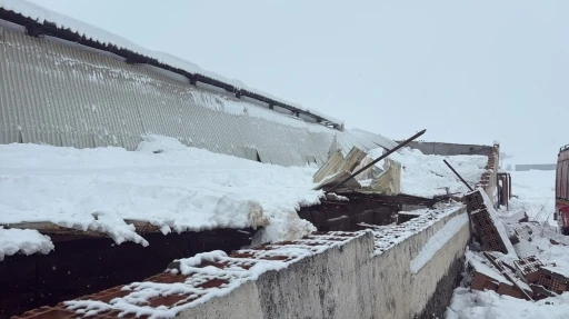 Kar nedeni ile ahırın &ccedil;atısı &ccedil;&ouml;kt&uuml;, 11 hayvan telef oldu
