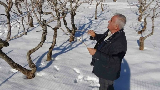 Kar yağışı Gaziantep&rsquo;te &ccedil;ift&ccedil;inin y&uuml;z&uuml;n&uuml; g&uuml;ld&uuml;rd&uuml;
