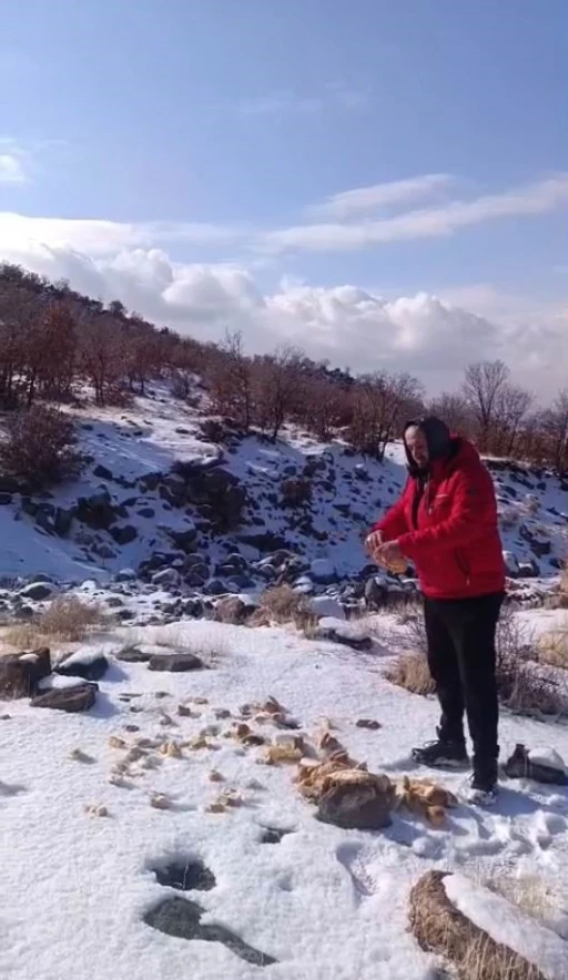 Kar yağışı Karacadağ&rsquo;daki yaban hayatını zorladı
