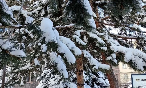 Kar yağışının ardından ağa&ccedil;larda kartpostallık g&ouml;r&uuml;nt&uuml;
