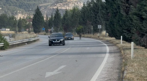 Kara yoluna &ccedil;ıkan eşek trafiği tehlikeye d&uuml;ş&uuml;rd&uuml;
