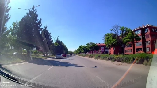Kara yolunda mahsur kalan kaplumbağasına yardım eli
