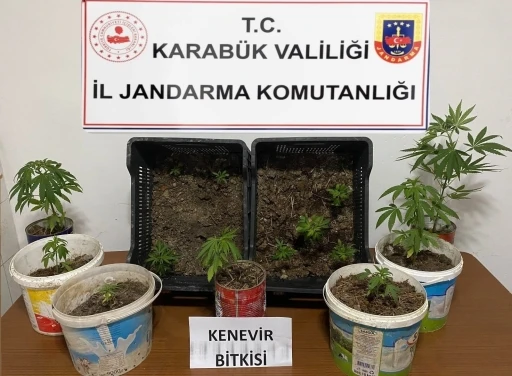 Karabük’te iki evde 14 kök kenevir ele geçirildi
