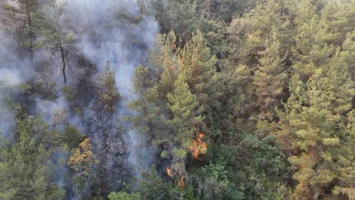 Karabük’te orman yangını 69 saattir sürüyor
