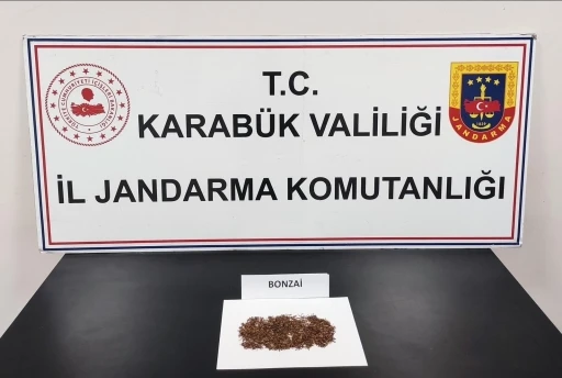 Karabük’te uyuşturucu operasyonu: 1 gözaltı
