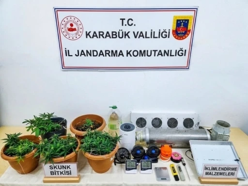 Karab&uuml;k&rsquo;te uyuşturucu operasyonu: Skunk serası ortaya &ccedil;ıkarıldı

