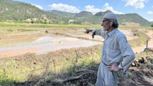 Karab&uuml;k&rsquo;te yaka seli &ccedil;eltik tarlalarını vurdu
