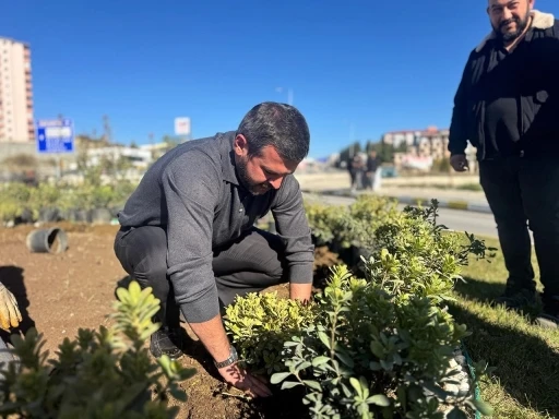 Karab&uuml;k&rsquo;te yeşil alanlar 18 binden fazla fidanla g&uuml;&ccedil;leniyor
