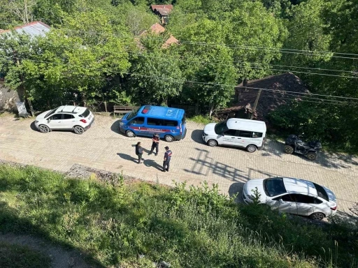 Karabük’teki köpek ölümleriyle ilgili inceleme başlatıldı
