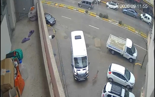 Karaca Giresun&rsquo;un G&ouml;rele il&ccedil;esinde şehir merkezine indi: iki araca &ccedil;arptı, g&ouml;zden kayboldu
